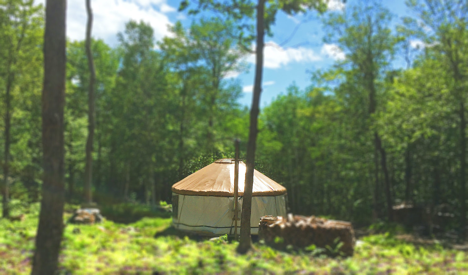Crow's Nest Yurt Backcountry Yurt in Huntington Vermont Huts